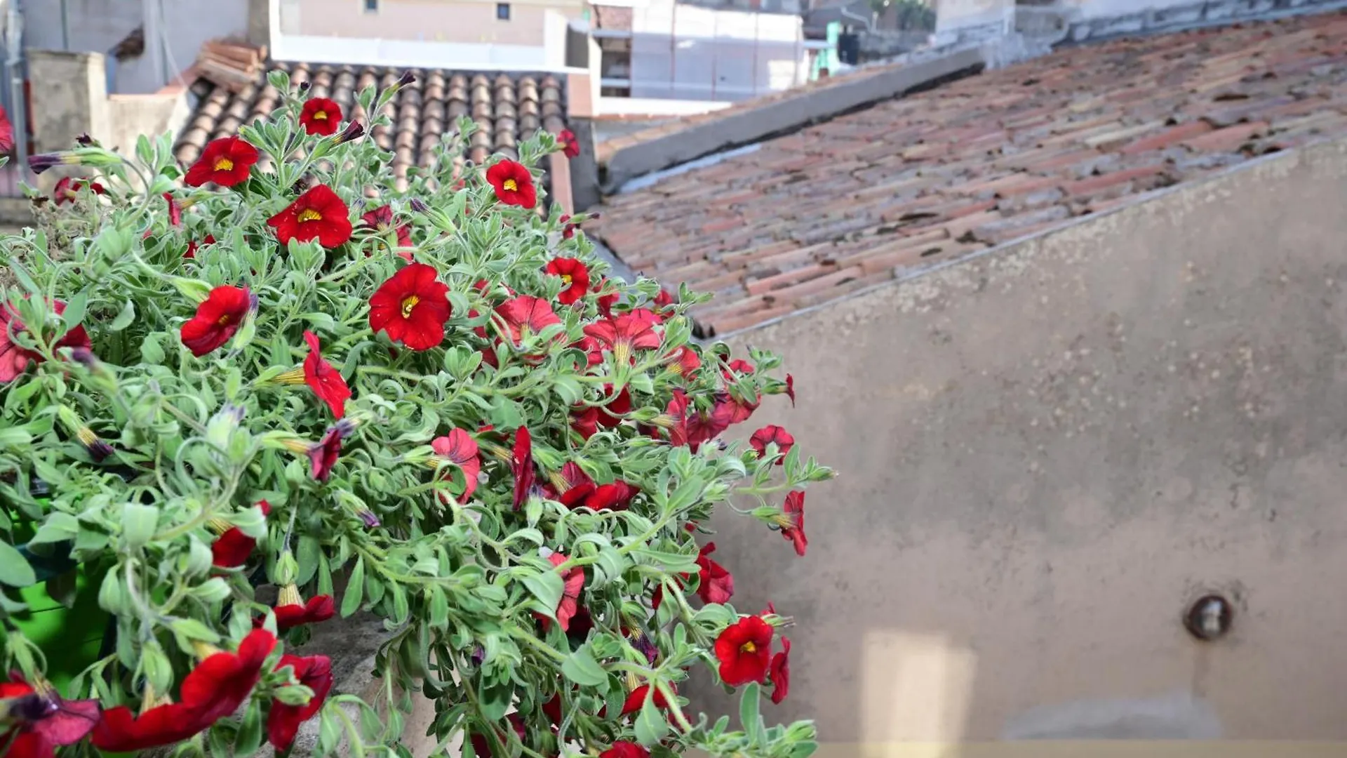 Semesterbostad La Ciriciccia Villa Acireale